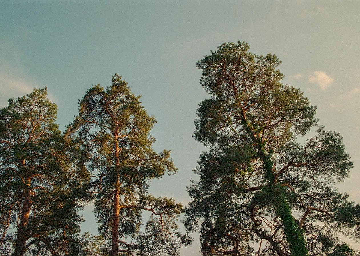 Deluxe Double Room,1540881877:JPEG