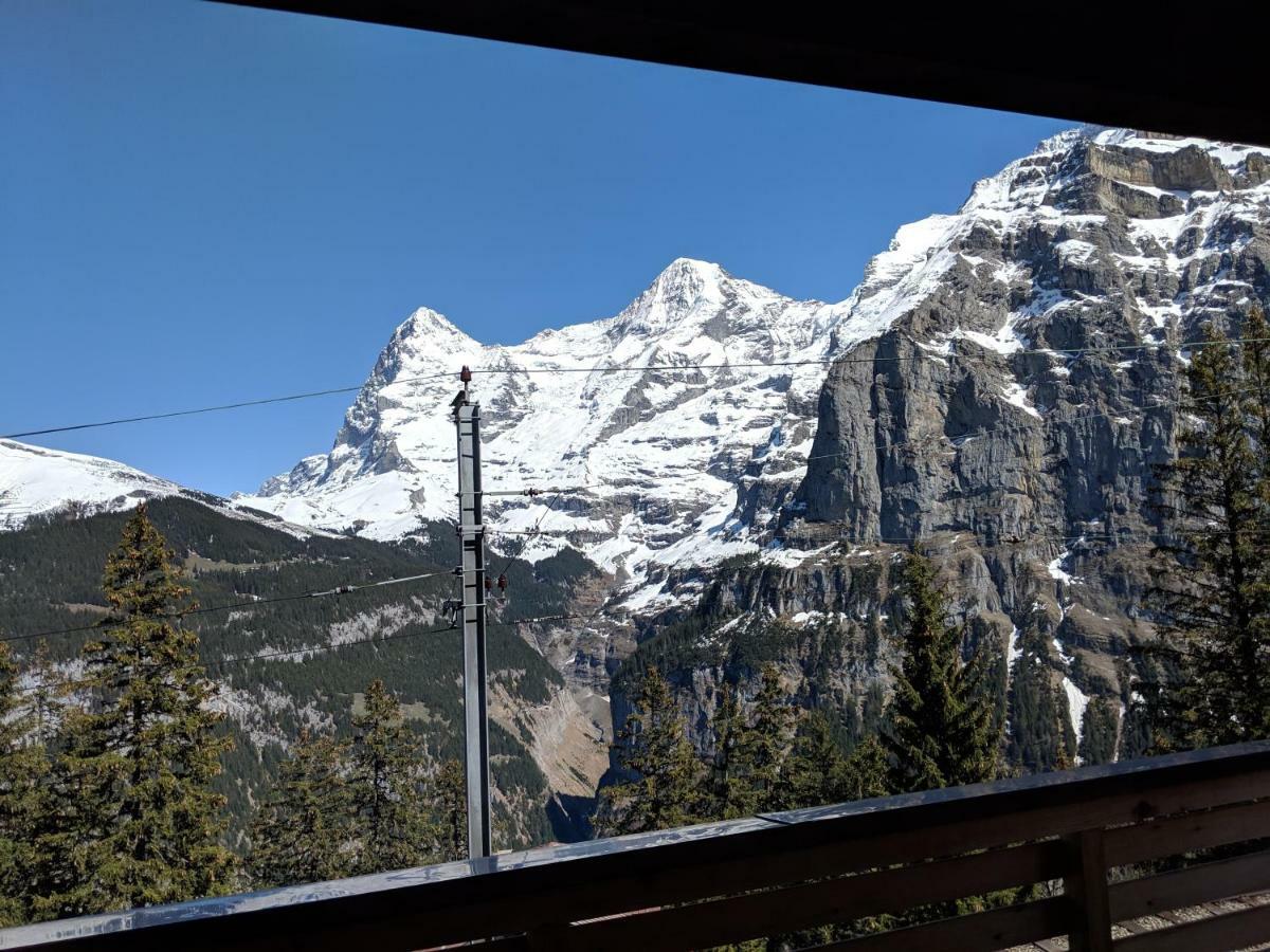 Single Room Balcony Mountain View
