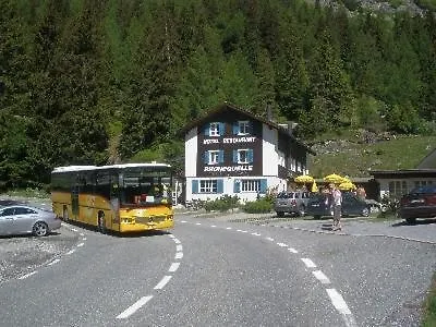 Hotel Rhonequelle-1