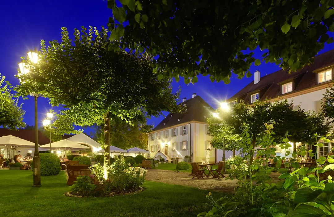 Schloss Reinach-1