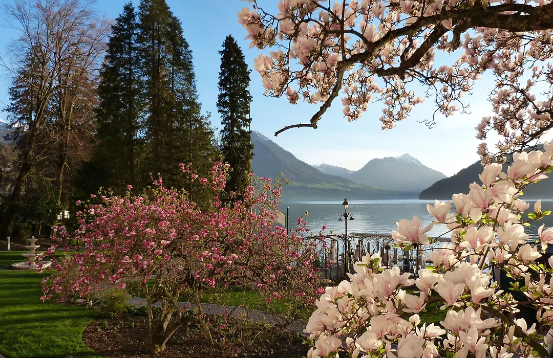 Hotel Vitznauerhof - Lifestyle Hideaway At Lake Lucerne-1