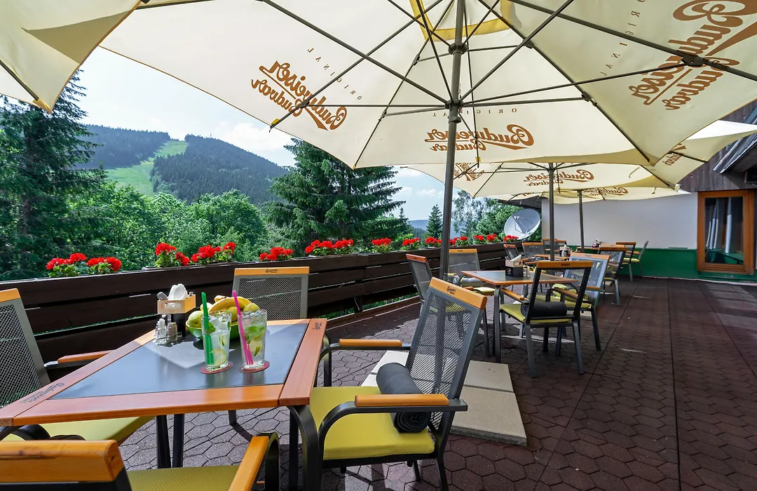 Parkhotel Harrachov-1