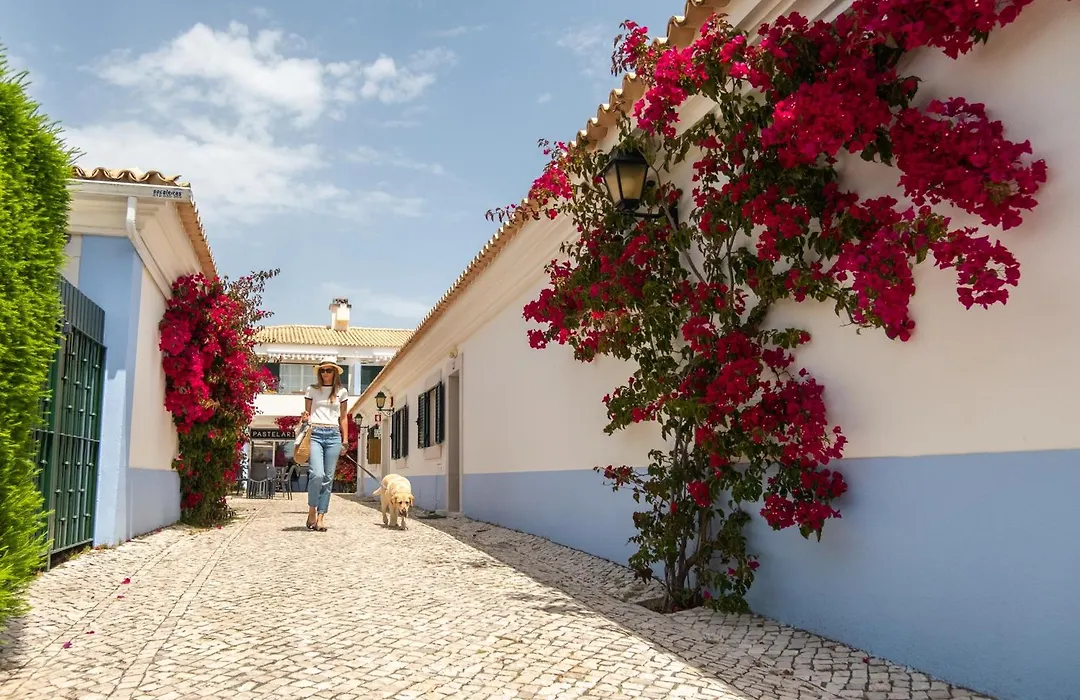 Vila Bicuda Resort-1