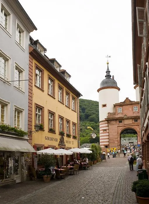 Hotel Goldener Hecht-1