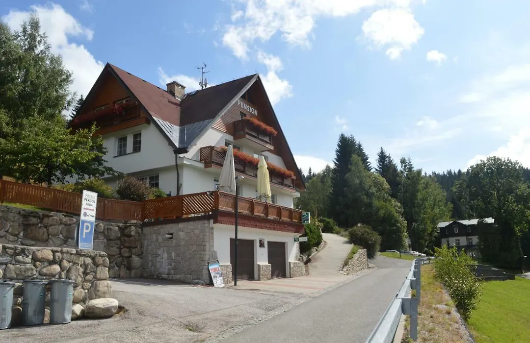 Pension Fuka-1