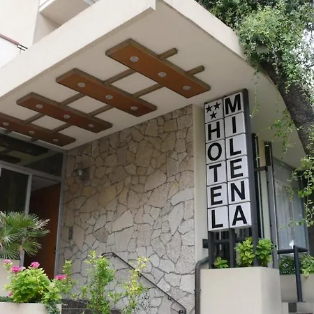 Hotel Milena-2