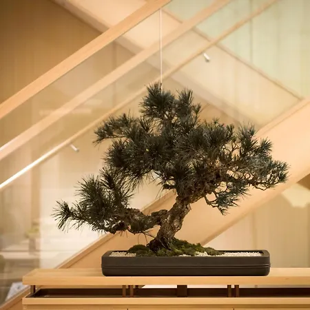 Doubletree By Hilton Kyoto Higashiyama-2