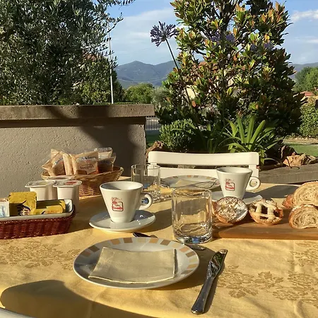 Villa Orsini - A Retreat In Pisa - Food And Relax-3