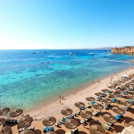 Reef Oasis Beach Resort-2