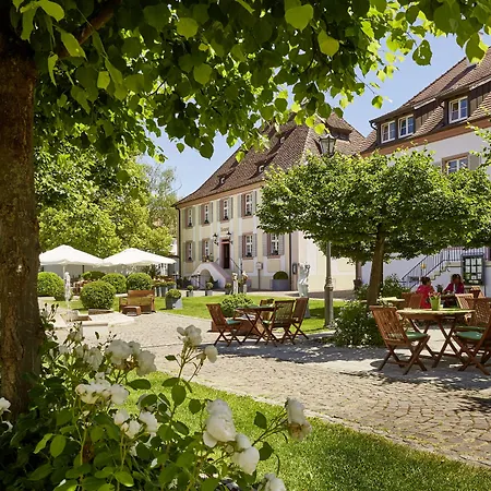 Schloss Reinach-2