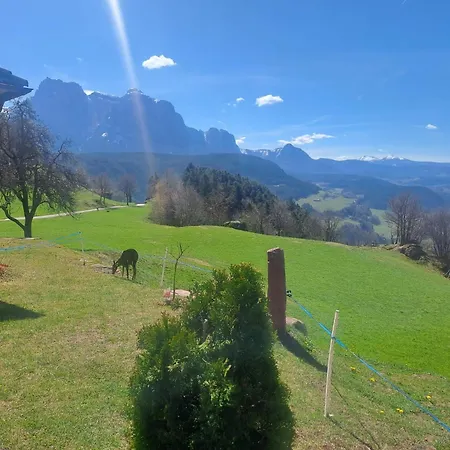 B&B Gasthaus Lieg-3