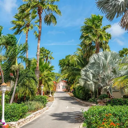 Sonesta Hotels & Resorts Livingstone Curacao-3