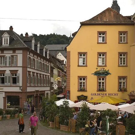 Hotel Goldener Hecht-2