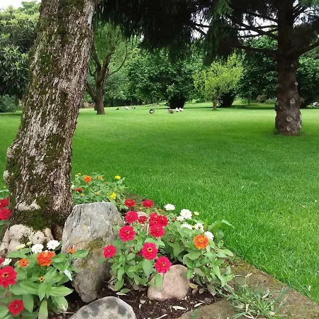 “Al Campo”-3