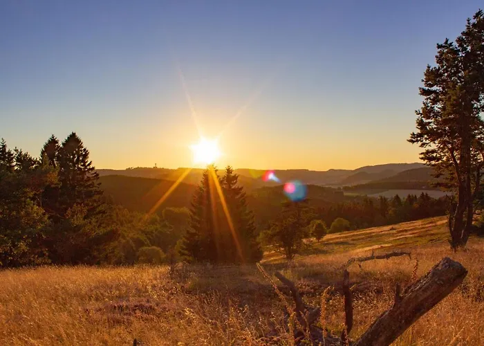 Haustierfreundliches Hotel: Ferienwohnung Emde
