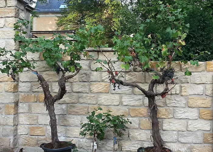 Hotel: Hotel Andreas