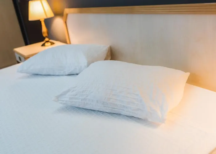 Gästehaus: Da Vinci Residence