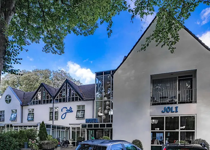  Joli