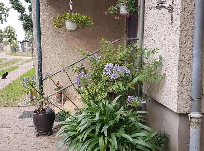 Ferienvermietung: Ferienwohnung Siebmann