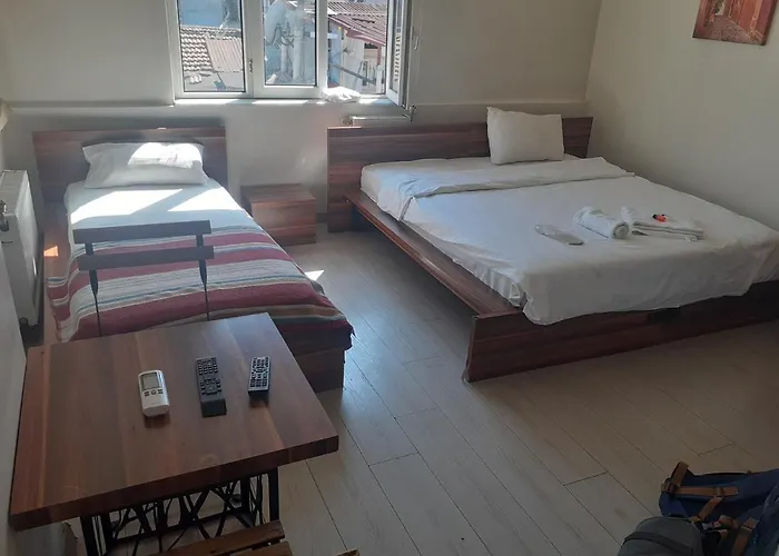 Hotel mit Hund Medusa Apart