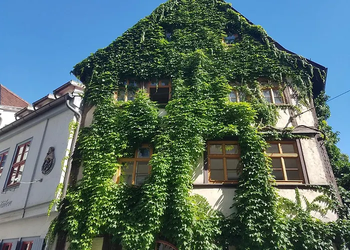  Am Erfurter Dom