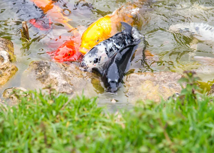 Luxushotel: Achtis Hotel