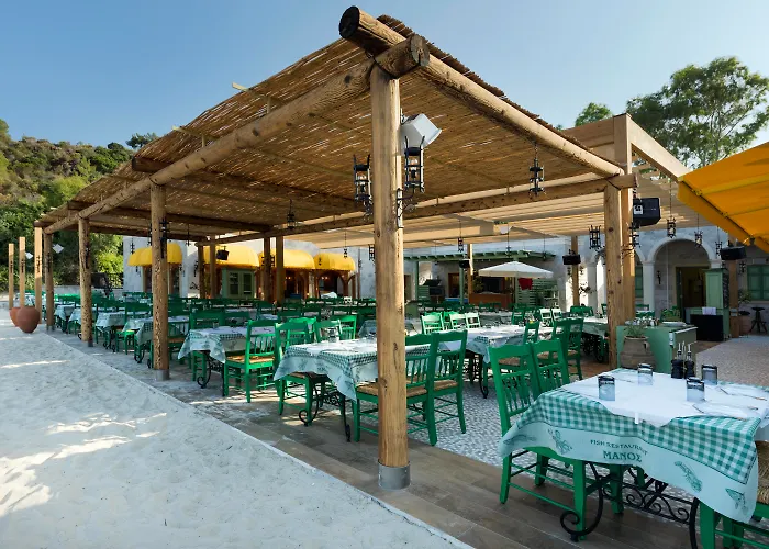 D Maris Bay