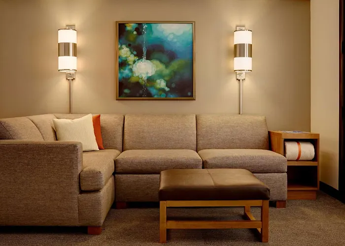 Motel: Hyatt Place Atlanta Downtown