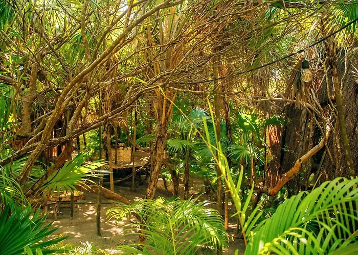 Boutique-Hotel: Ikal Tulum Hotel