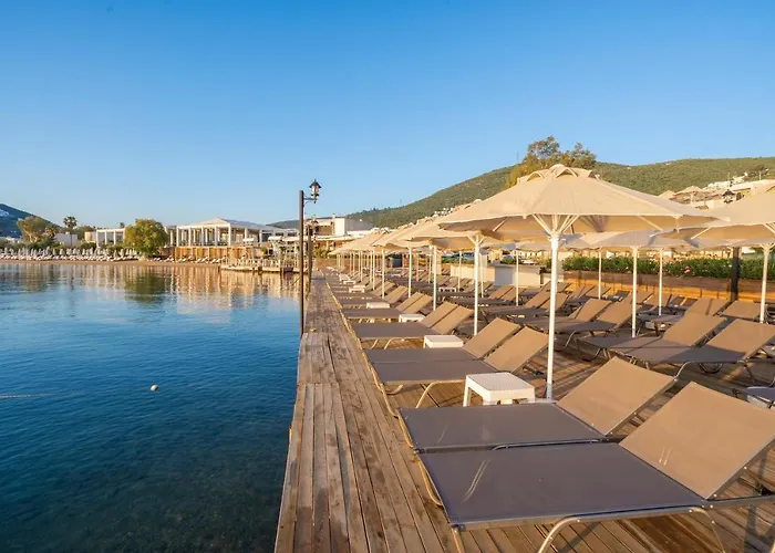 Hotel mit Pool: Trendlife Hotels Torba