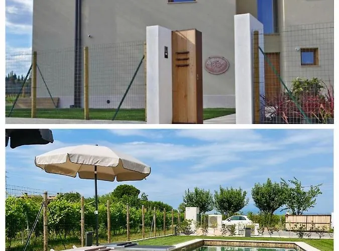Il Vigneto