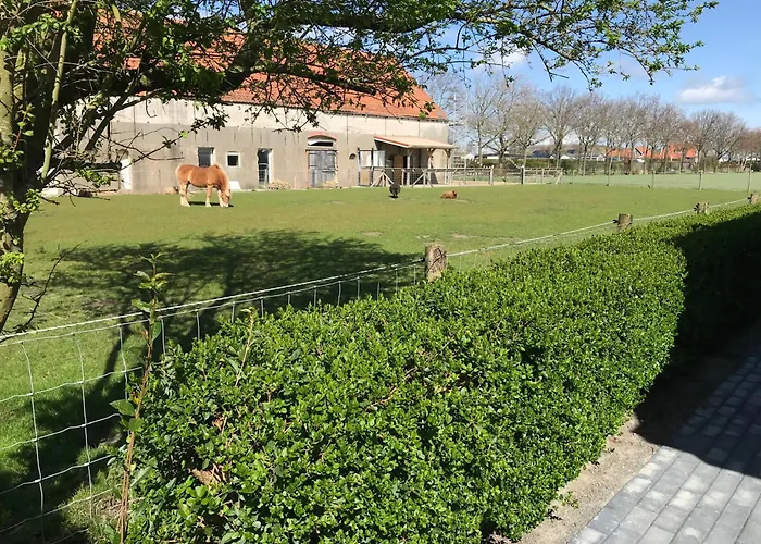 Haustierfreundliches Hotel: Vakantiewoningen De Schelp