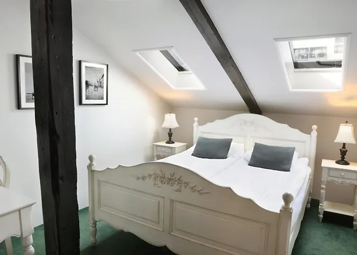 Hotel mit Hund Fosshotel Baron
