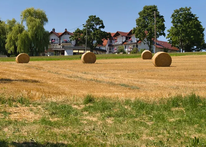 4-Sterne-Hotel: Landhotel Schellenberg