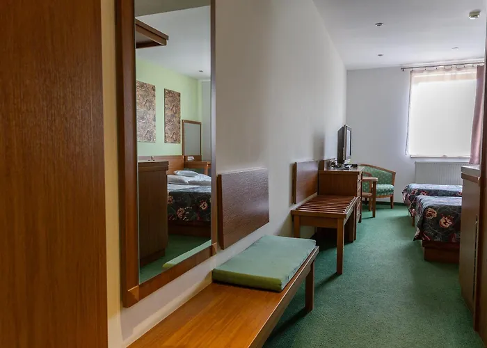 Ping Pong Hotel: Hotel Max Inn