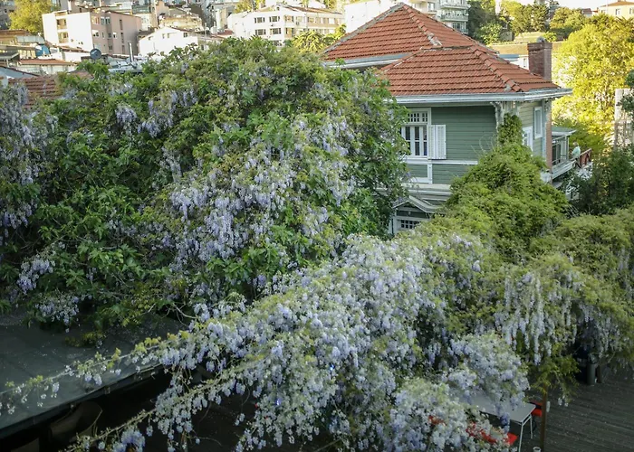  Loop Bosphorus Istanbul
