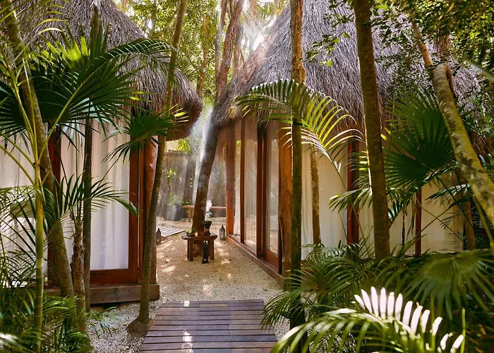 Our Habitas - Adults Only