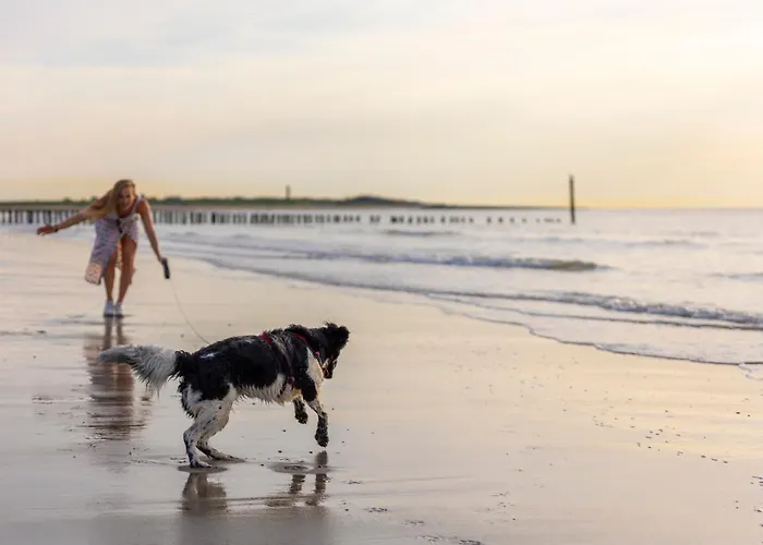 Haustierfreundliches Hotel: Dormio Resort Nieuwvliet-Bad