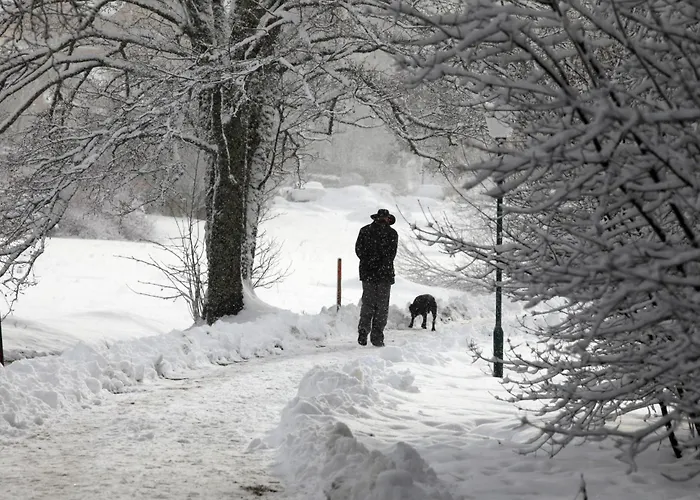 Golf Hotel: Hotel am Bach