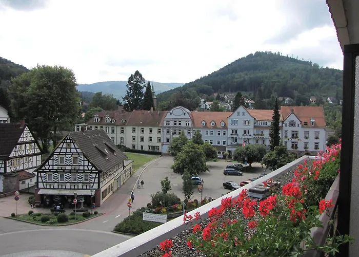 Hotel mit Aussicht: Hotel Harzer am Kurpark