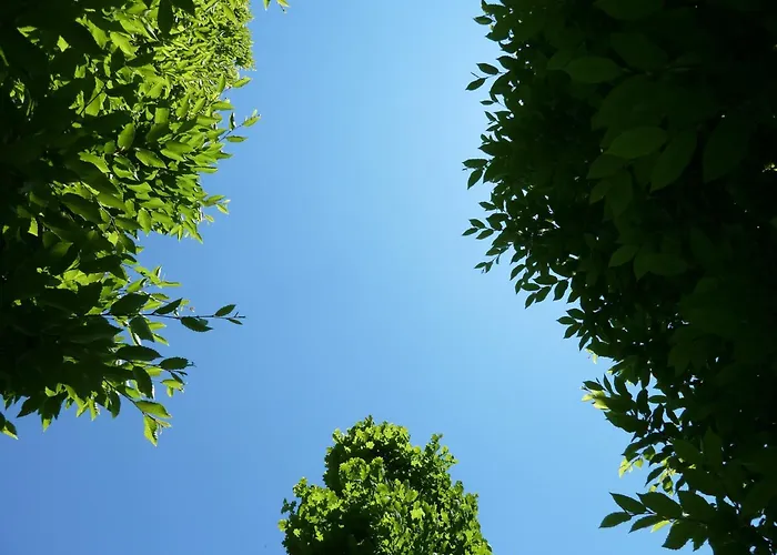 3-Sterne-Hotel: Sangallo Park Hotel