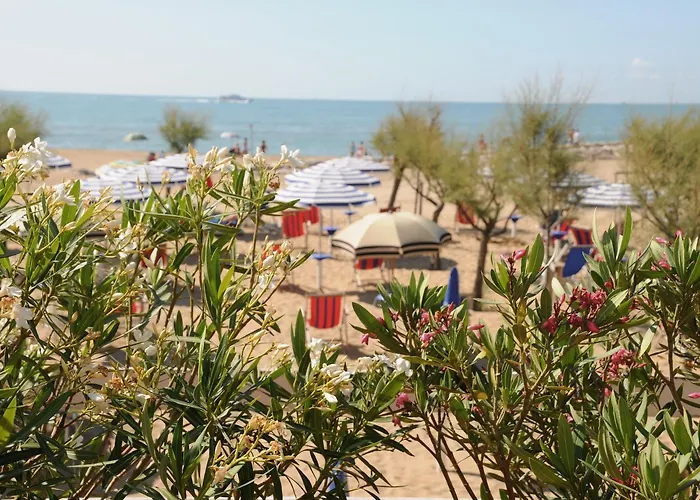 3-Sterne-Hotel: Hotel Fenix