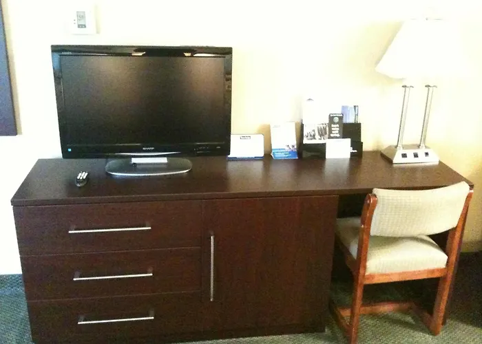 Haustierfreundliches Hotel: Travelodge By Wyndham Presidio San Francisco