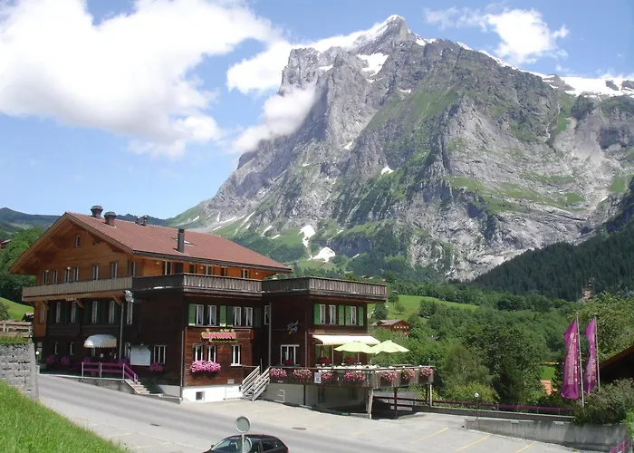 Haustierfreundliches Hotel: Hotel Alpenblick