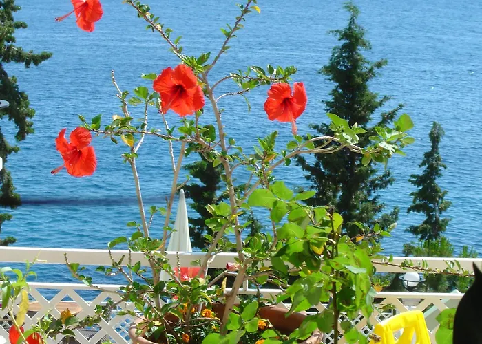 3-Sterne-Hotel: Medusa Hotel