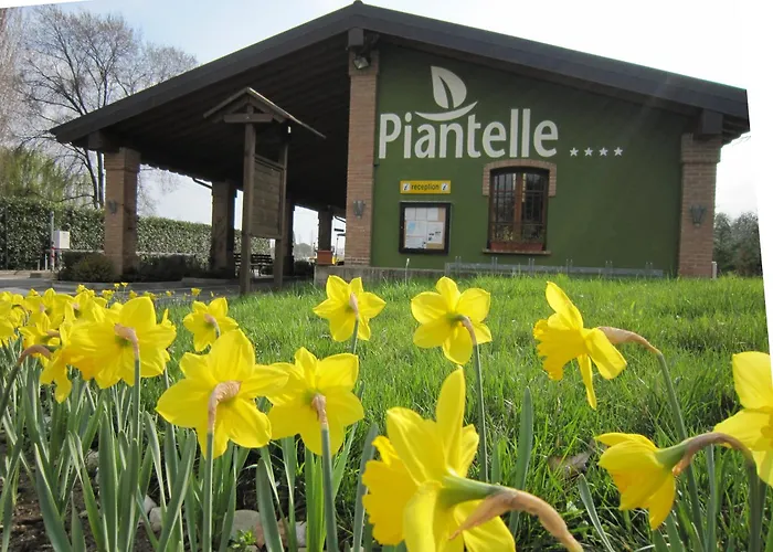 Haustierfreundliches Hotel: Camping Piantelle