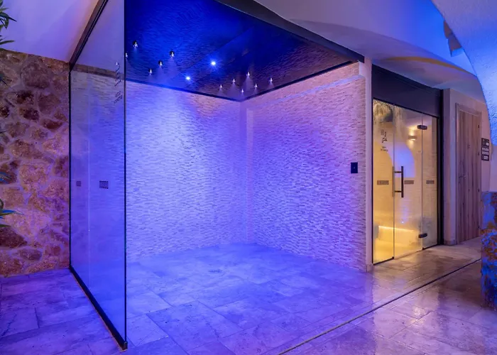 Ght Neptuno-Tossa & Venus Spa