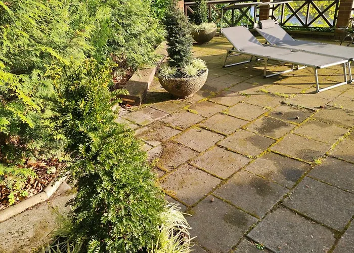 Haustierfreundliches Hotel: Villa Belvedere