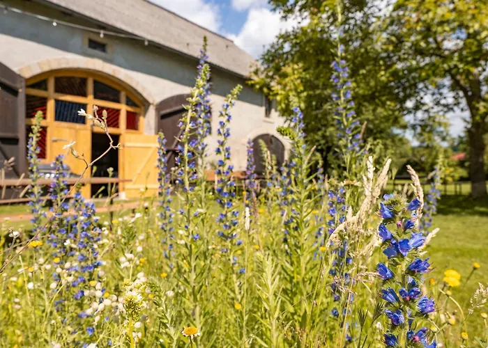 Hotel nahe College: Hinterland Hostel