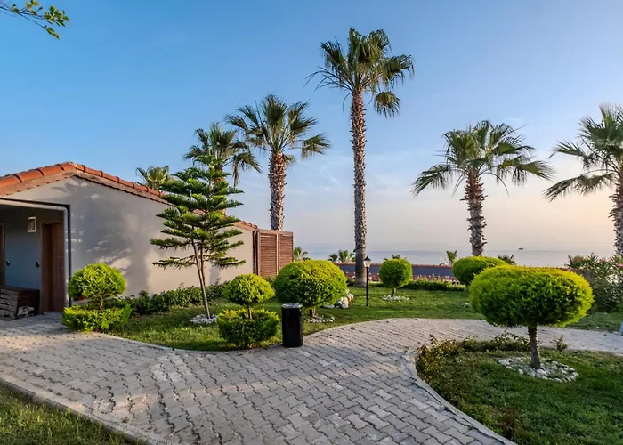 4-Sterne-Hotel: Adora Calma Beach Hotel Adults Only